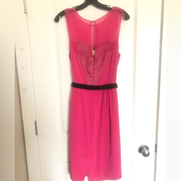 BCBGMaxAzria | Pink Party Dress - Picture 4 of 13